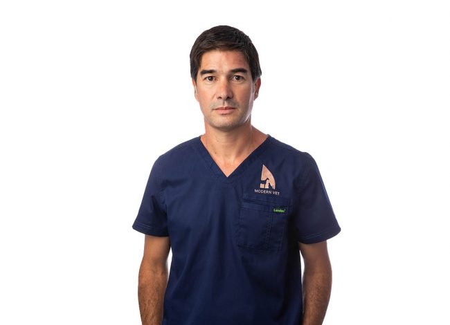 Veterinarian