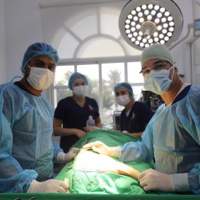 veterinary surgical operation