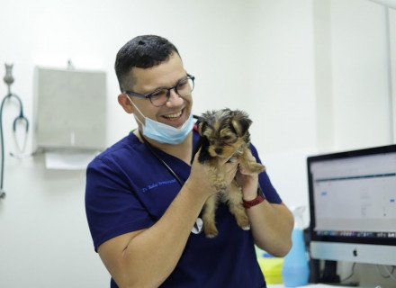 Veterinary doctor with puppy in hands