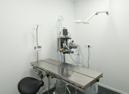 Veterinary medical room