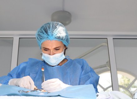 Veterinary surgery operation