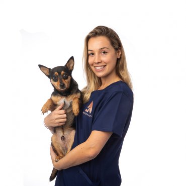 Veterinary doctor with dog on hands