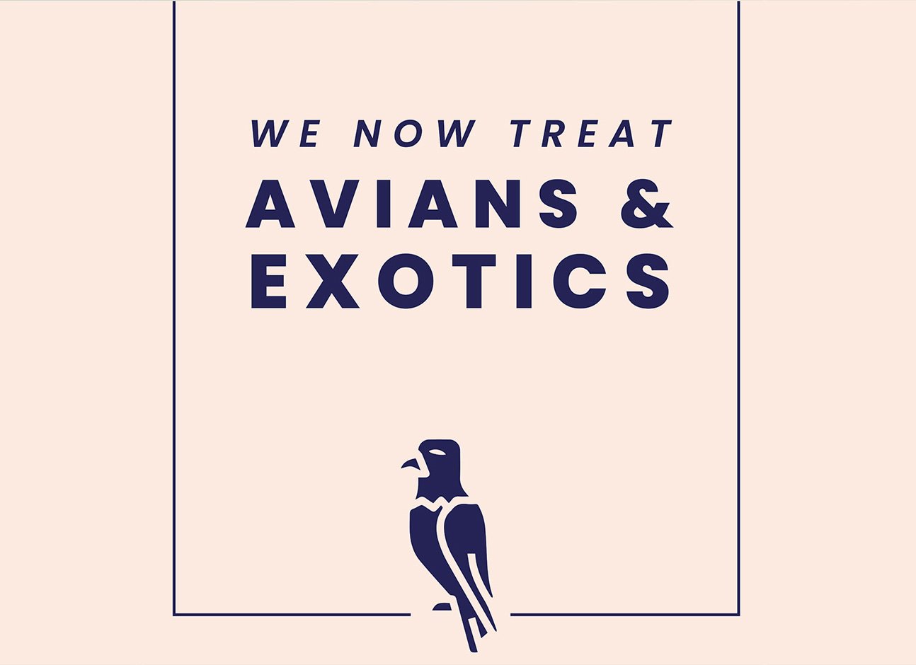 The Avian and Exotic Service at Modern Vet is now fully operational.