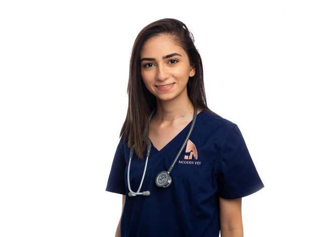 Dr. Rim Ghattas Dr. Rim Ghattas