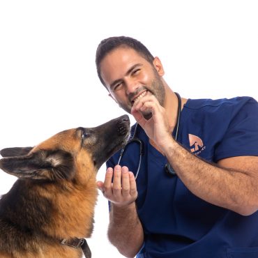 Vet doctor and dog