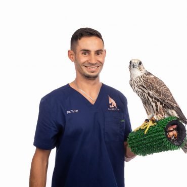 Dr. Victor Sirbu Dr. Victor Sirbu