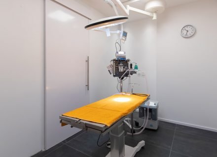Medical operation room Modern Vet Downtown