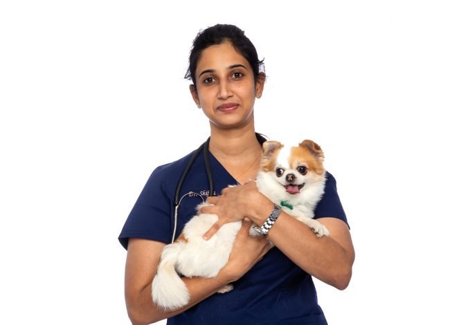 Shifna Shaan- Modern Vet - 24 hour speciality vet in the UAE.
