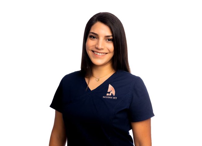 Vet