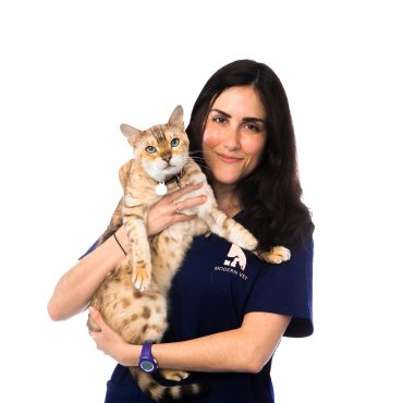 Veterinary doctor with cat
