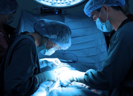 Veterinarians in surgery operation