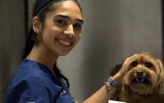 Dr. Kiran Radhakrishnan