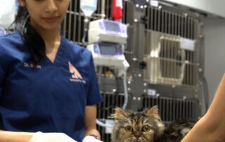 Dr. Kiran Radhakrishnan