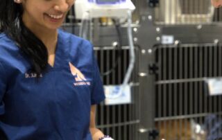 Dr. Kiran Radhakrishnan