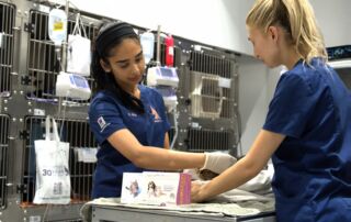 Dr. Kiran Radhakrishnan