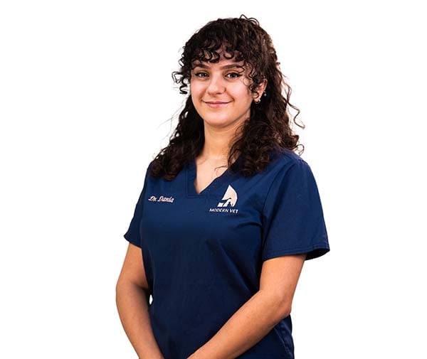 Dr. Dania Attieh Dr. Dania Attieh