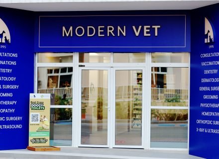 Modern Vet clinic enter