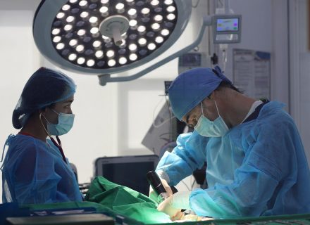 vets surgeon