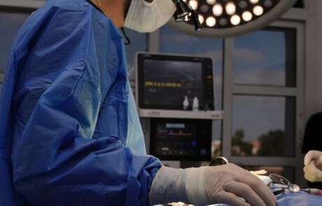 Dr. Roy Hassoun