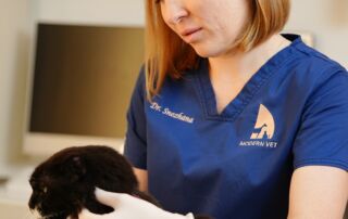 Dr. Snezhana Pochkalina