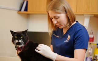 Dr. Snezhana Pochkalina