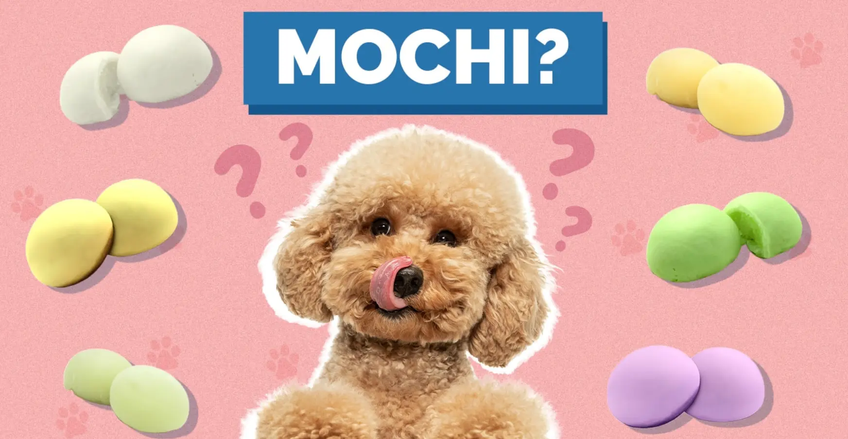 Can dogs eat mochi?