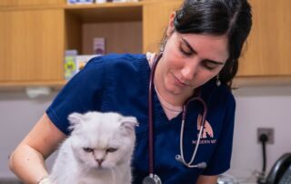 Dr. Cristina Epifanio