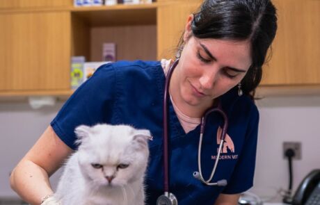 Dr. Cristina Epifanio