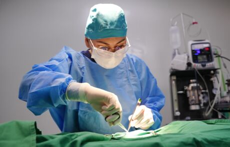 vet