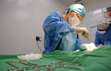 vet operation