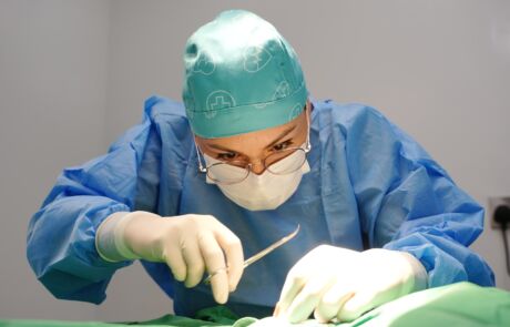 veterinary