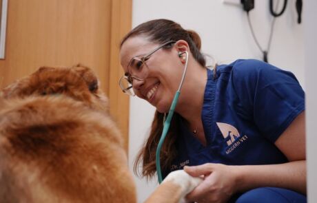 Dr. Marta Gambarin