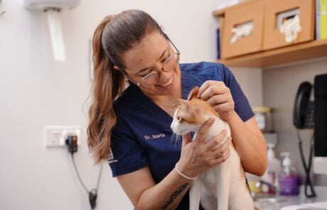 Dr. Marta Gambarin