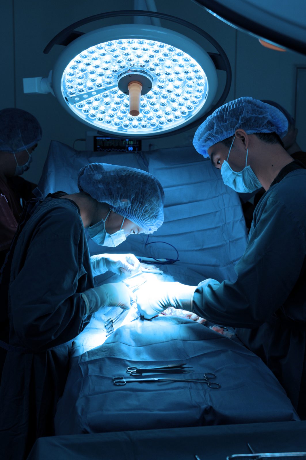Veterinarians in surgery operation