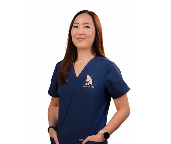 Dr. Novi Tandria Dr. Novi Tandria