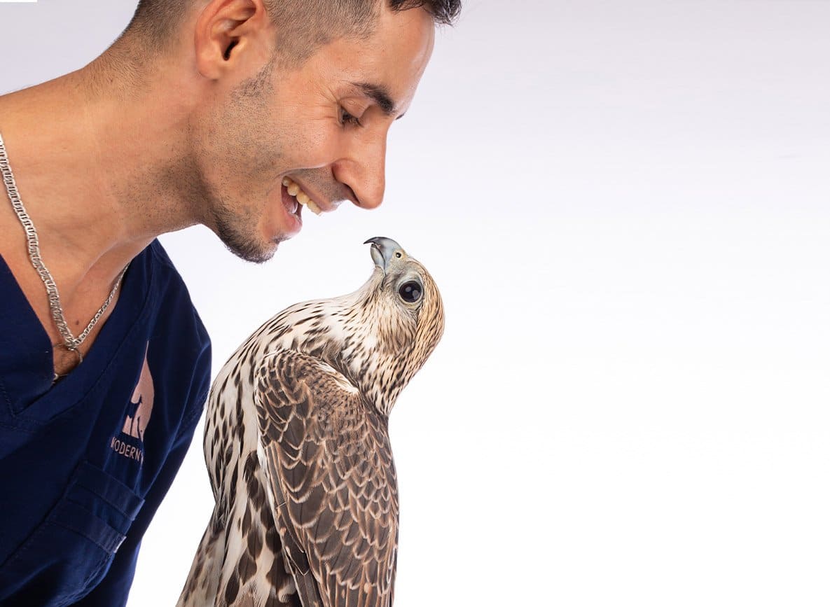 Vet with falcon