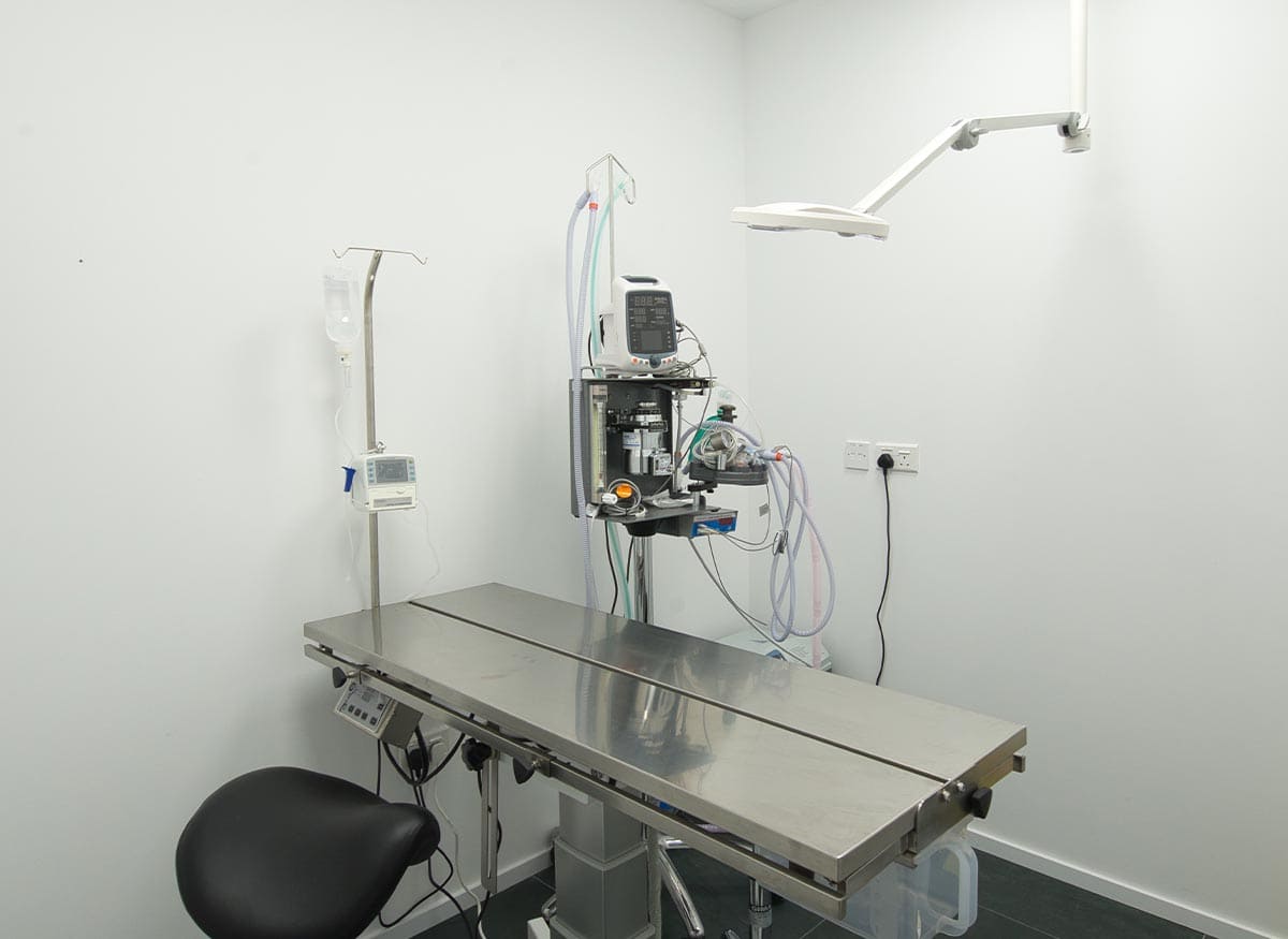 Veterinary medical room