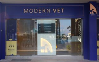 Modern Vet JLT