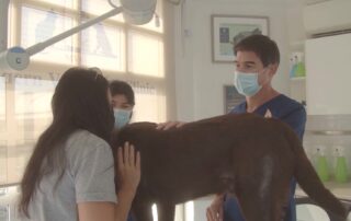 Dr. Luciano de Gatica