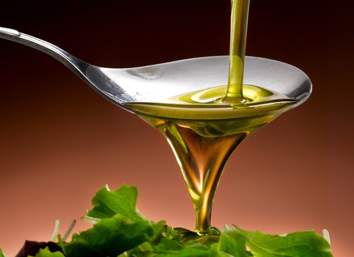 Is vegetable oil bad for cats? — Modern Vet