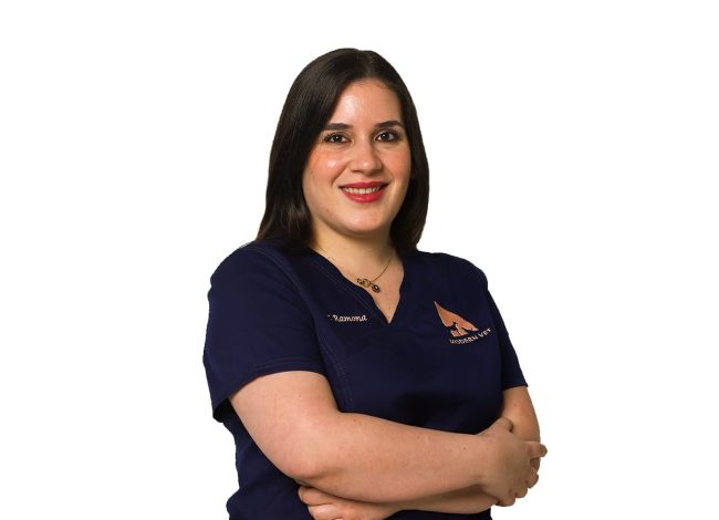 Veterinary doctor