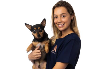 Vet doctor