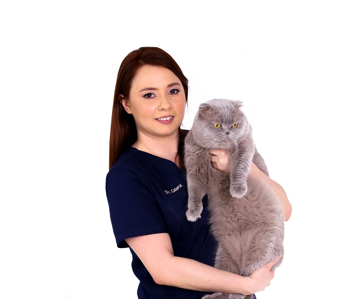 Veterinarian with cat