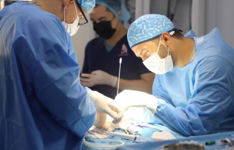 veterinary surgical operation