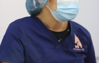 veterinarian