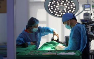 vet during surge