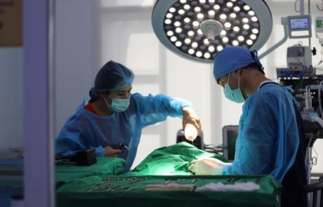 vet during surge
