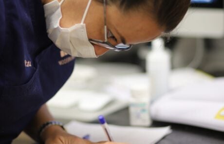 veterinar in work