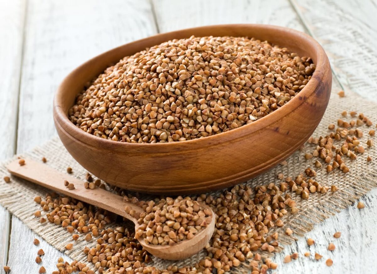 Can dogs eat Buckwheat?— Modern Vet