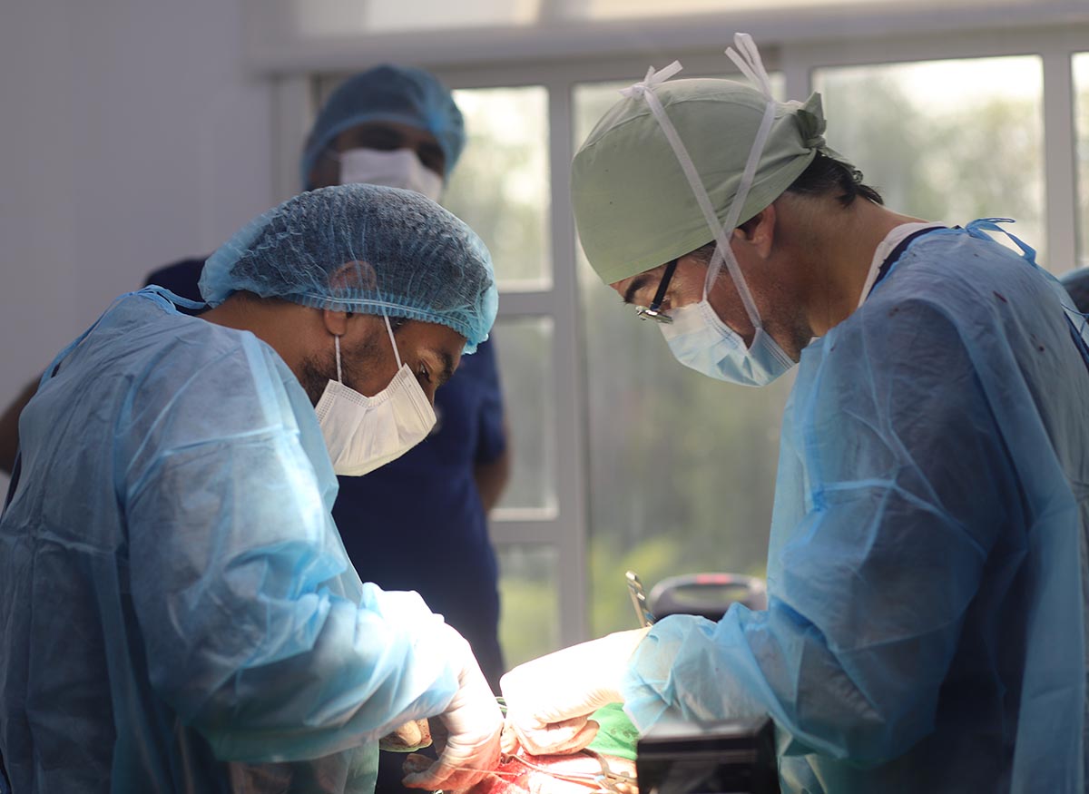 surgery operation in vet clinic